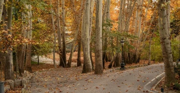 4 razones para visitar Bucarest, la pequeña París (Adobe Stock)
