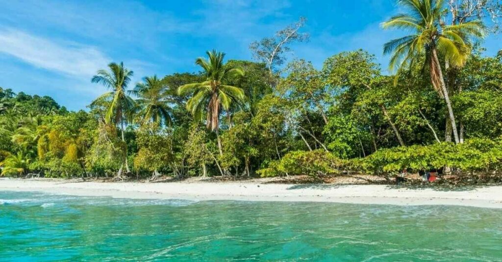 Sigue leyendo Las 5 mejores playas de Costa Rica 