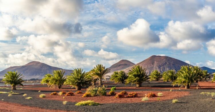 Paisaje con volcanes de montaña en el parque nacional de Timanfaya, Lanzarote, España. (Adobe Stock)