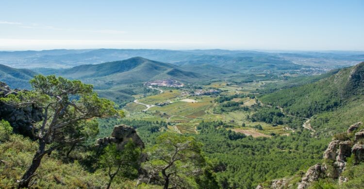 Paisaje mediterráneo en El Montmell, en Tarragona, España. (Adobe Stock)