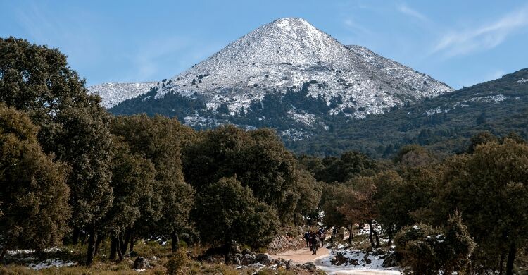 Parque Natural y Nacional de la Sierra de las Nieves, en la provincia de Málaga, Andalucía. (Adobe Stock)