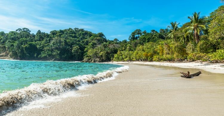 Si buscas las mejores playas de Costa Rica debes visitar esta (Canva)