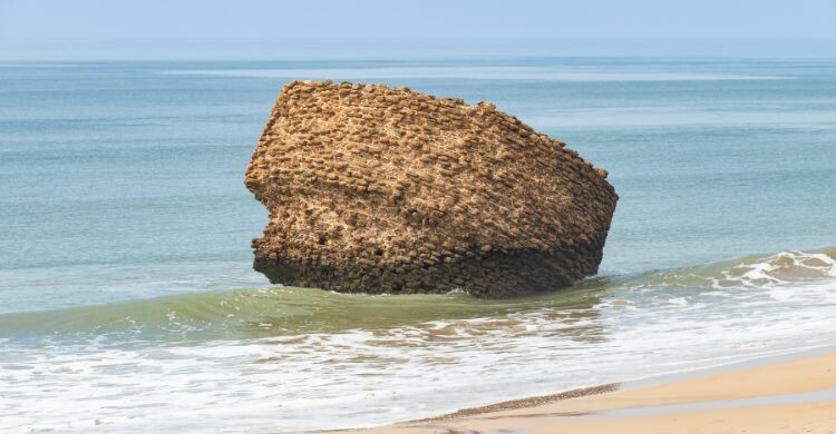 Torre de la Higuera (La Peña), en Matalascañas, Huelva, Andalucía. (Adobe Stock)