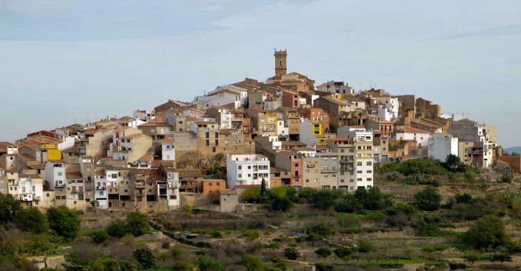 Visita las bodegas y los viñedos de Les Useres, en Castellón. (Adobe Stock)