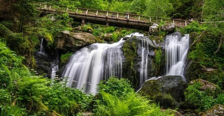 Cascadas de Triberg es una de las cosas que ver en la Selva Negra (Adobe Stock)