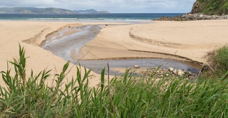 Descubre el Grand Prix de Carrilanas de Esteiro (Adobe Stock)