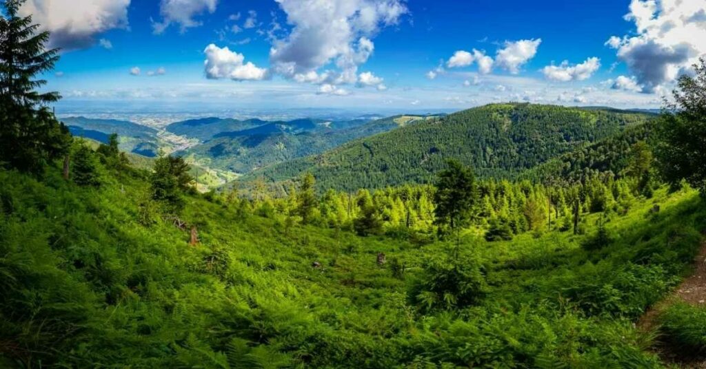 Sigue leyendo Qué ver en la Selva Negra en Alemania