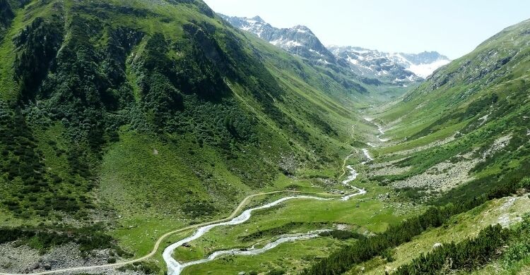 La ruta definitiva por Estados Unidos para fans de Yellowstone (Canva)