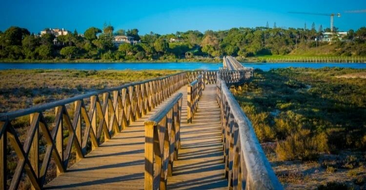 Parque Natural da Ría Formosa en Faro, Portugal (Adobe Stock)