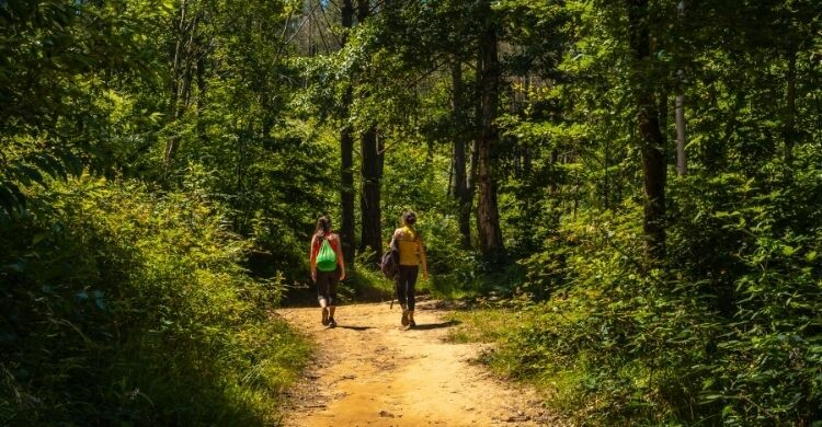 20 lugares imprescindibles que ver en San Sebastián en 2024 (Envato)