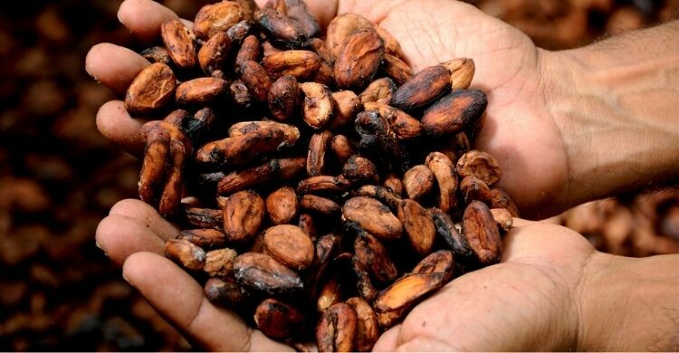 4 planes para los amantes del chocolate en Madrid (Canva)