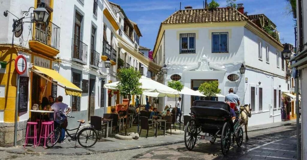 Sigue leyendo 4 restaurantes donde comer en Córdoba