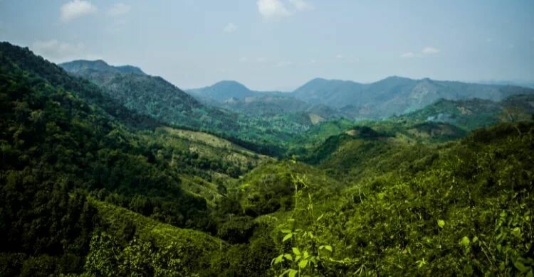 Bosque de La Herrería, sierra de Guadarrama (Canva)