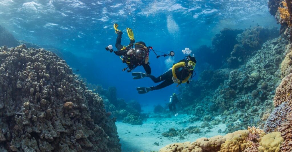 Sigue leyendo Descubre la costa oculta de España con rutas secretas y aventuras de Buceo