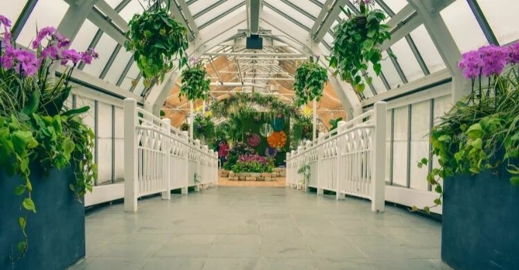 Cosas qué ver y hacer en Sierra Nevada, Granada (Canva)