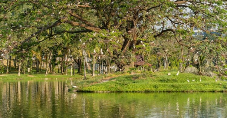 Pasear por el Jardin Public es una cosa obligatoria que hacer en Burdeos