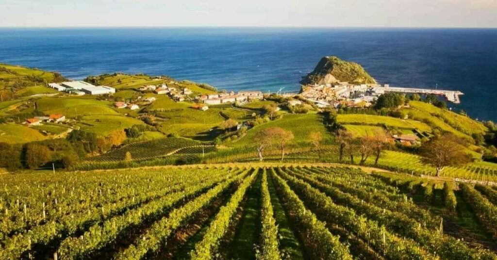 Sigue leyendo Viajes por placer: viñedos TOP del sur de Europa