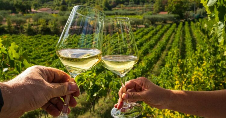 Sigue leyendo Viajes gastronómicos en coche: las mejores rutas del vino en España