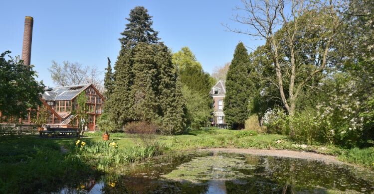 El jardín botánico de Utrecht