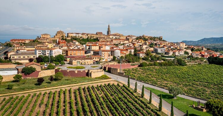 Muchos pueblos en La Rioja viven en torno al vino (Adobe Stock)