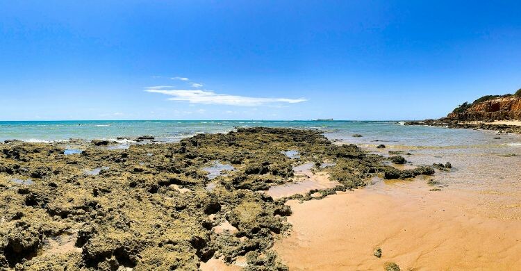 El marisco del sur de España es uno de los mejores del país (Canva)