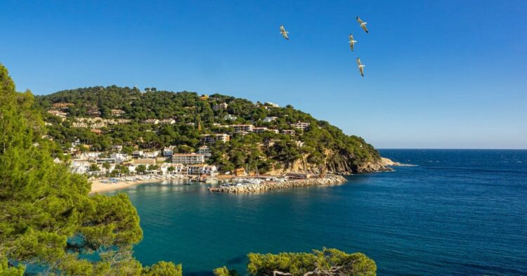 Sigue leyendo Las 10 mejores playas de España en 2025