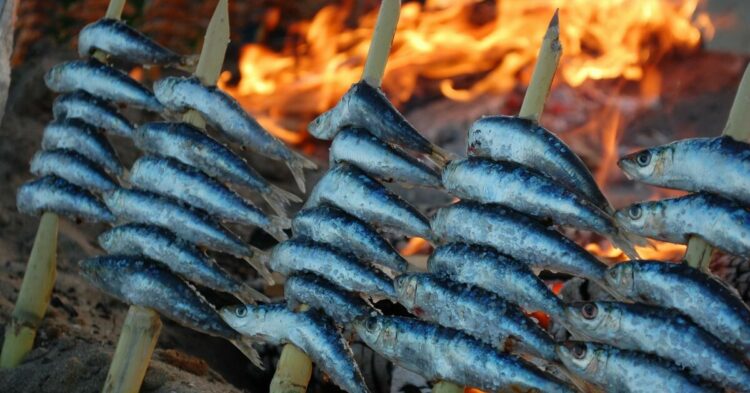 Sigue leyendo Los 5 mejores restaurantes para probar el espeto en Málaga