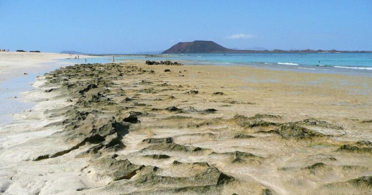 Sigue leyendo Las 5 mejores playas de Fuerteventura