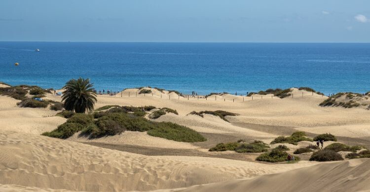 Las Dunas de Maspalomas es otro lugar icónico de la isla (Canva)