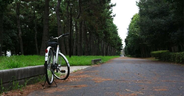 Sigue leyendo 5 rutas para ir en bicicleta por Madrid