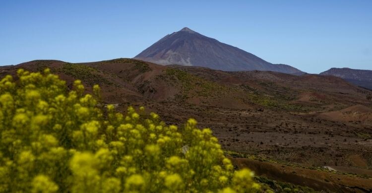 Parque Nacional del Teide (Canva)