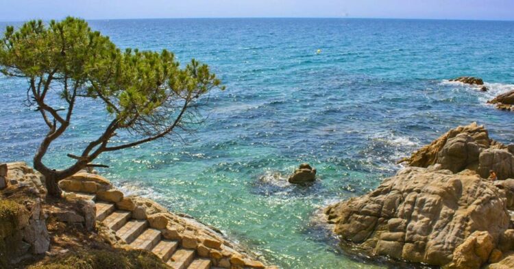 Sigue leyendo Costa Brava: el destino ideal para pasar unas vacaciones en un camping