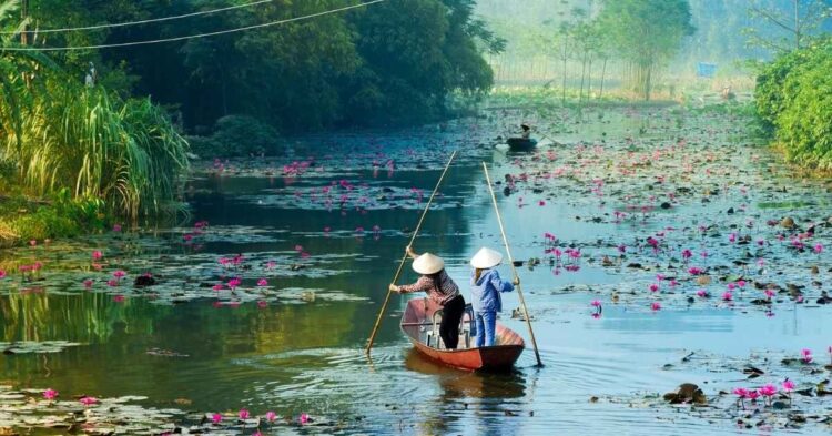 Sigue leyendo Los 8 paisajes más bonitos de Vietnam