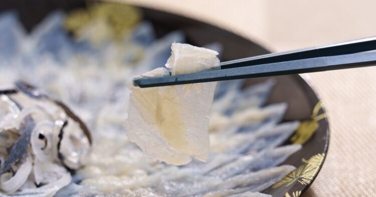 Sigue leyendo Fugu: El pez japonés que te puede matar si el chef lo corta mal