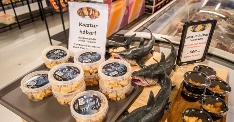 Sigue leyendo Hákarl: A qué sabe el tiburón fermentado de Islandia