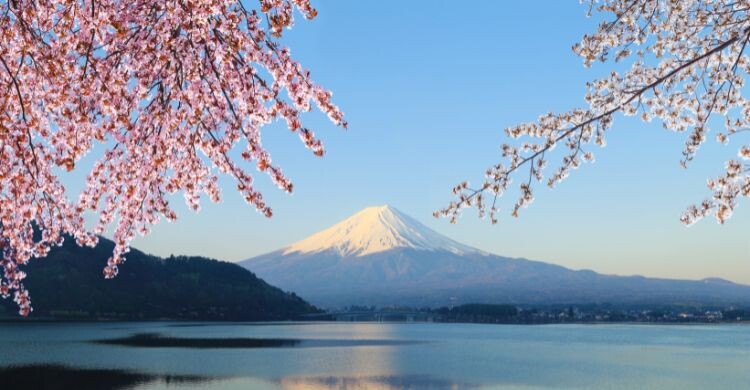 Japón (AdobeStock)